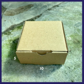 BOX/DUS DIE CUT PIZZA PACKAGING OLSHOP 10x10x5 cm - Cokelat
