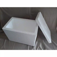 Box Packing Stryofoam Khusus