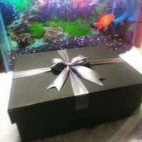 kotak kado BESAR giftbox boxsouvenir 40x30x18cm hitam BERPITA