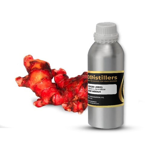 Ginger (Red) Essential Oil