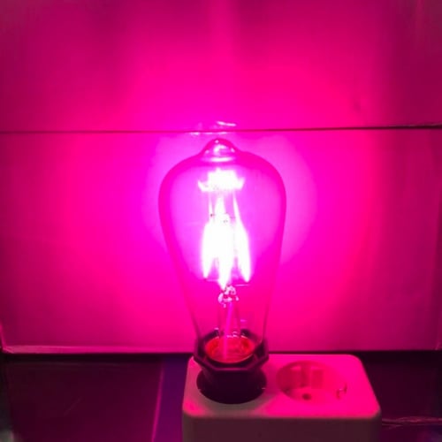 LED FILAMENT LAMP COLOR - GREEN / BLUE / RED / PINK