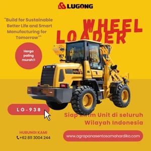 Wheel Loader Lugong LG 938