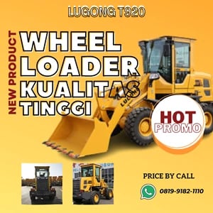 Wheel Loader Lugong T 920
