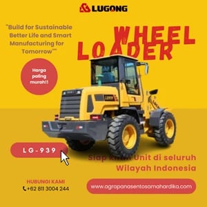 Wheel Loader Lugong LG 939