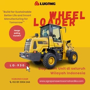 Wheel Loader Lugong LG 930