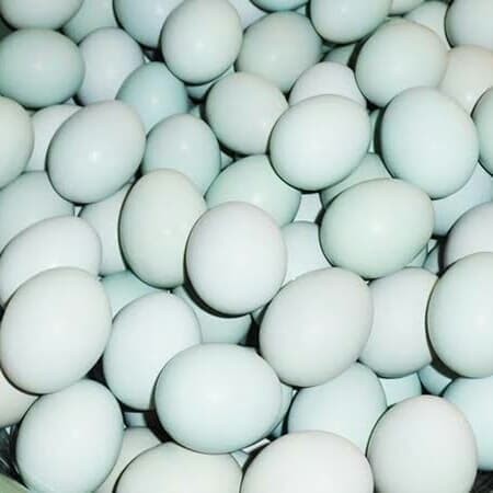 Telur Asin Matang - Per 1 PCS