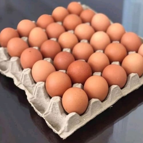 Telur ayam 1 tray isi 30 butir