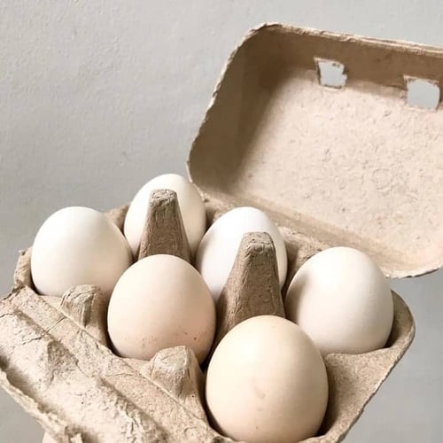 Telur Ayam Kampung Omega Merah 1 Box Isi 6 Butir