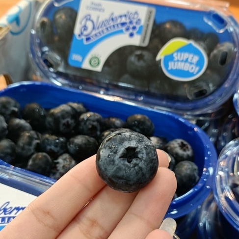 BUAH SEGAR Blueberry Blue Berri 1 Pax (200gr)