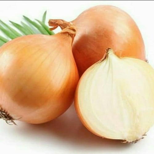Bawang Bombay 5kg / Onion 5kg segar