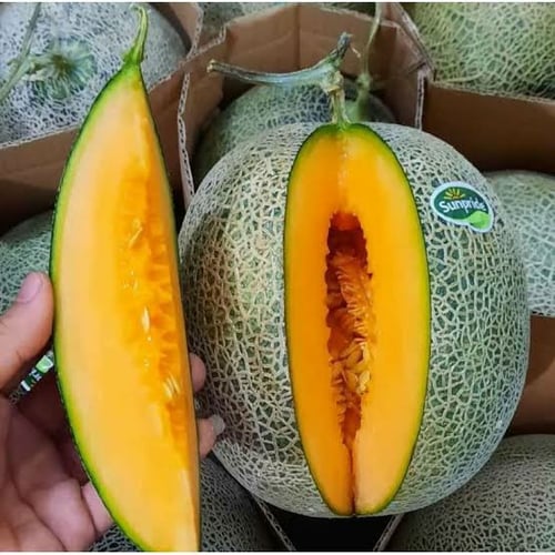Buah Melon Orange / Rock Melon Premium Manis