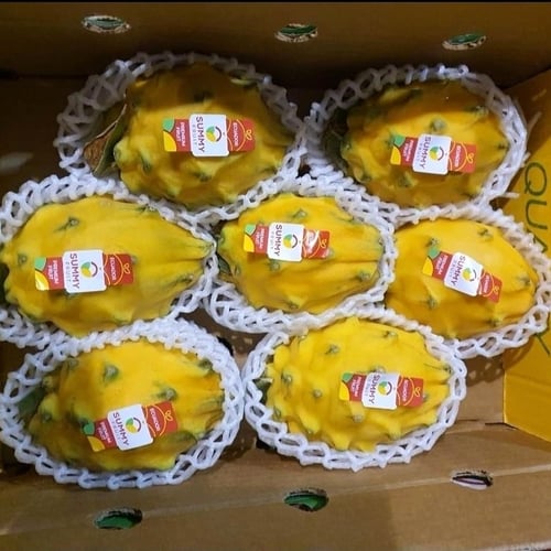 Buah Naga Kuning Fresh Import Equador 1dus
