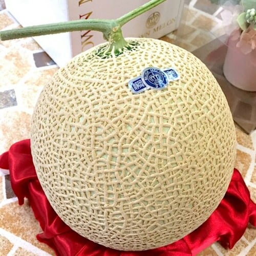 buah melon jepang crown 1.5kg