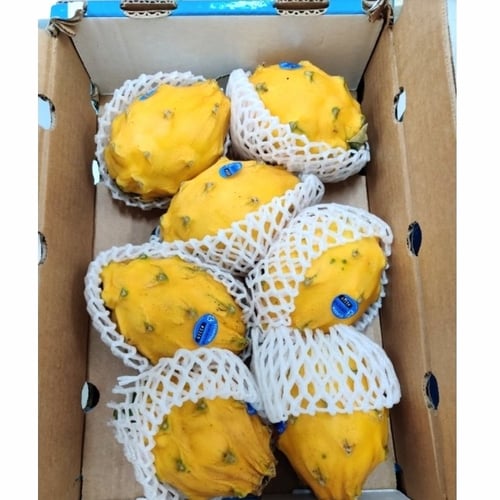Buah Naga Kuning Fresh Import Equador 1dus