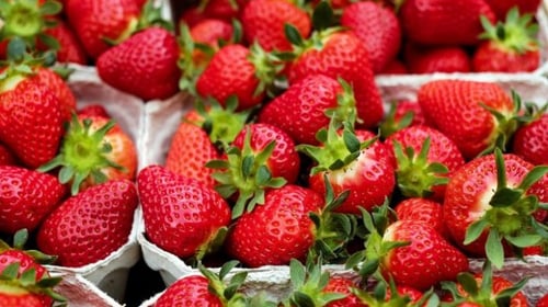 Strawberry organik fresh 2kg
