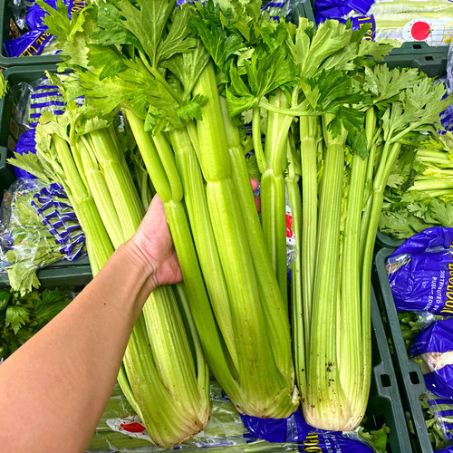 Seledri Batang Impor- Sayur Fresh 10 KG
