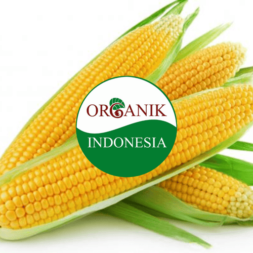Jagung Manis Organic 10 gr