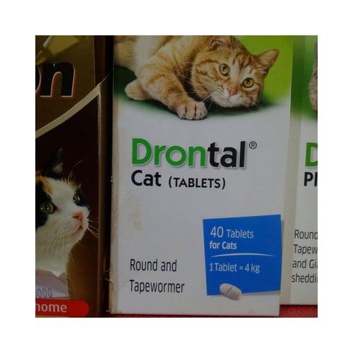 Drontal Obat Cacing Cat