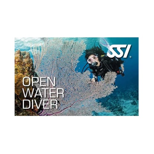 SSI Open Water Diver Course (OWD)