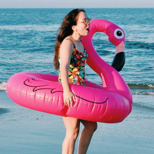 Swan Design Swim Ring 6pcs RBDE5C-Pink